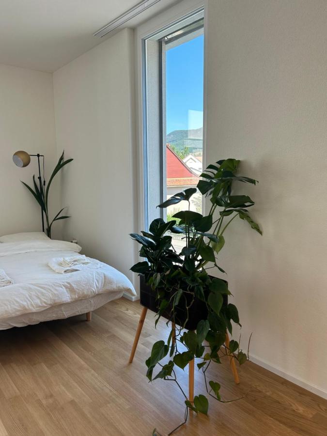 The R Apartment Passwang, Klima, Neu, Balkon, Parking Balsthal Exterior foto